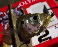 アジング練習 62