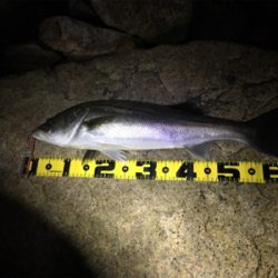 最後の一投でドン！！