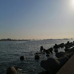 ライトショアジギング