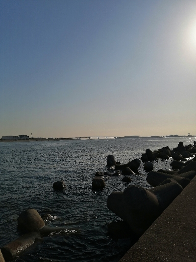 ライトショアジギング