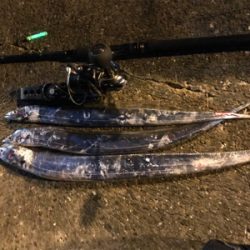 タチウオ引き釣り