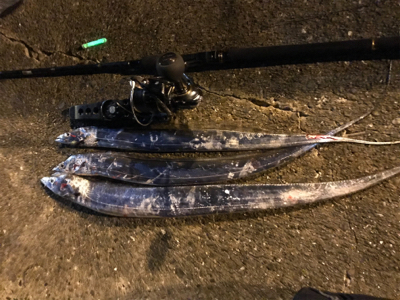 タチウオ引き釣り