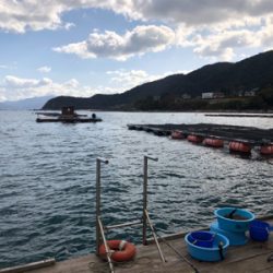 ボトムはやっぱエソ