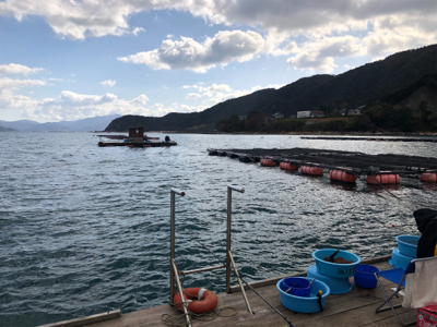 ボトムはやっぱエソ