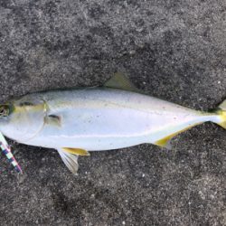 カスタムルアーの底力！