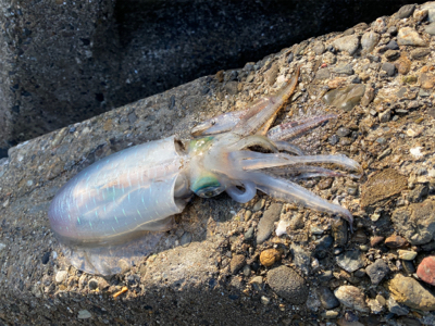 到着して直ぐ❗️…