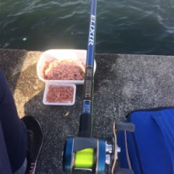 メクリアジ好釣!