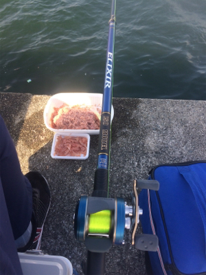 メクリアジ好釣!