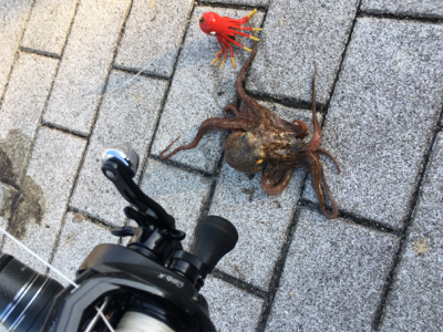 オクトパッシング