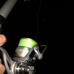 夕方の時合いが半端ないって！！