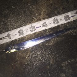 舞洲復活の兆し