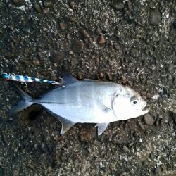 メッキ×メッキ