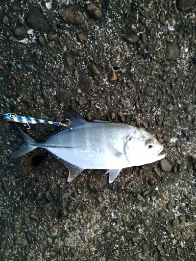 メッキ×メッキ