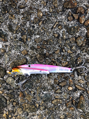 大きいのを釣りたいのは贅沢でしょうか