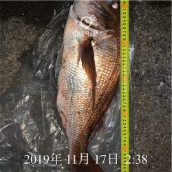 カゴ釣り　真鯛　初心者