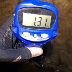 今季初キロアップ