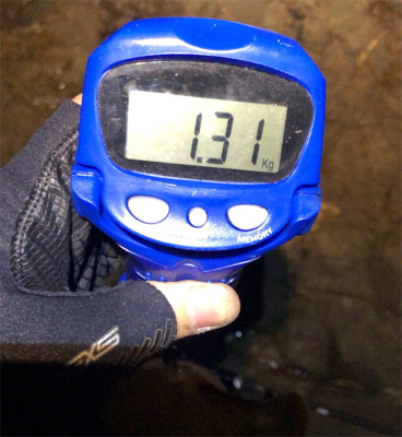 今季初キロアップ