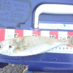 めっちゃ引くやん