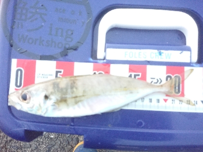 めっちゃ引くやん