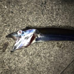 あわや坊主・・・