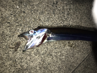 あわや坊主・・・