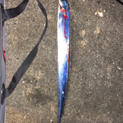 これはこれで面白い