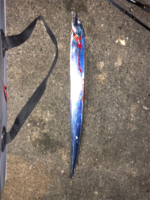 これはこれで面白い