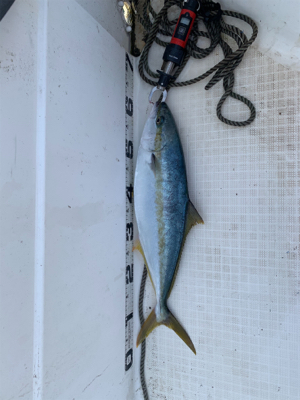 マイボートで荒波釣行