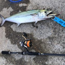 ベターコンディション