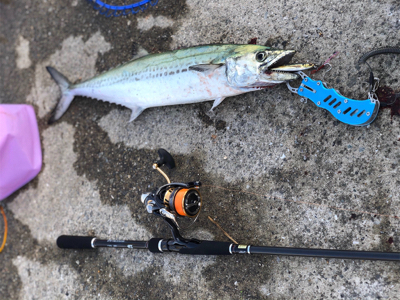 ベターコンディション