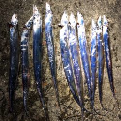 ドラゴンならずアジ釣れず