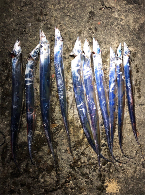 ドラゴンならずアジ釣れず