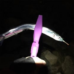 サヨリパターン？？