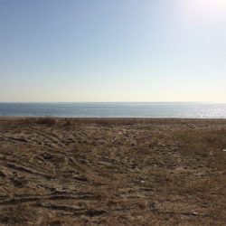 ライトショアジギング