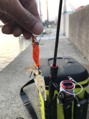 リベンジ 木材港ヒイカ釣り(夕方)