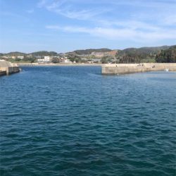 激シブの中なんとか1杯