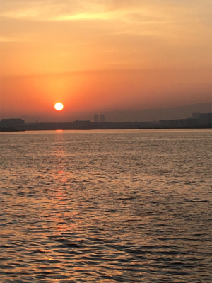 南港でLSJでガツンとハマチ