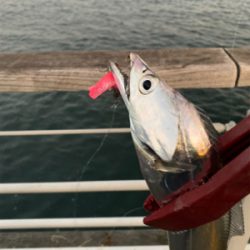 まさにユウレイ?