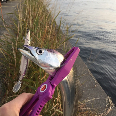 F4オーバー‼︎！イケア裏好…