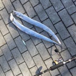 サーベリング&オクトパッシング