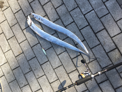 サーベリング&オクトパッシング