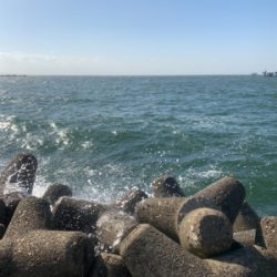 ガツンとアタリが欲しくて❗️