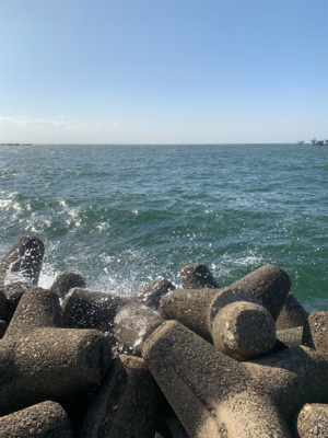 ガツンとアタリが欲しくて❗️