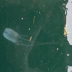 ジギングはまだまだ修行中