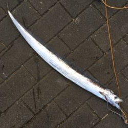 再び修行の日々へ