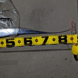 今日のタチウオ