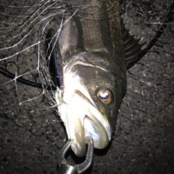 まだまだですね