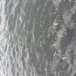 続・サーベリング