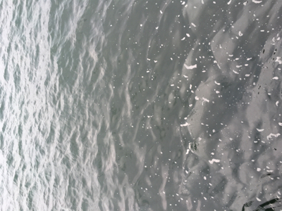 続・サーベリング