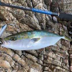 大荒れトップゲーム